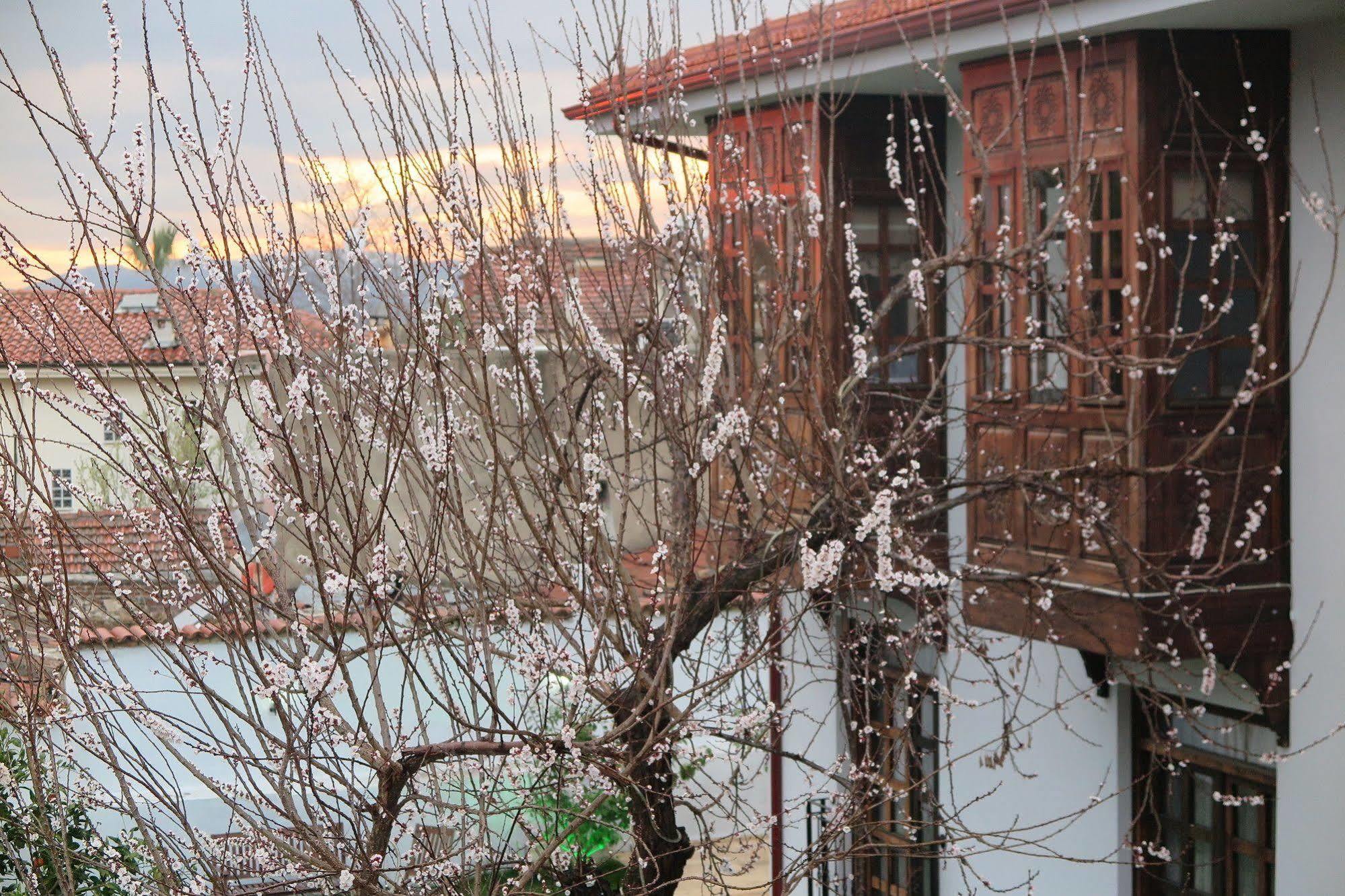 Ephesus Paradise Hotel Selçuk Exterior foto